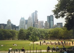 Central Park Skyline - Click for a bigger image